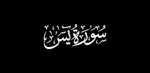 Surah Yaseen offline 2024 Screenshot 2