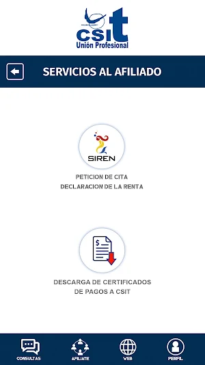 CSIT UNIÓN PROFESIONAL Screenshot 1