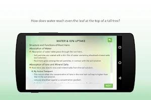 Transport in Plants Biology Screenshot 2