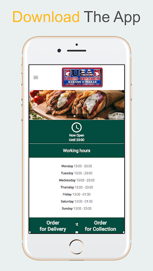 USA Fried Chicken Screenshot 1