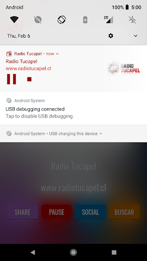 Radio Tucapel Screenshot 1