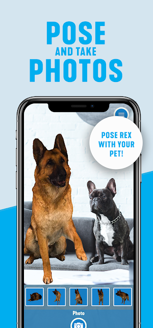 Hudson & Rex: Rex at Home Screenshot 2