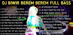 DJ BIWIR BEREM BEREM FULL BASS Screenshot 0