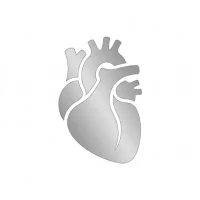 Huvitality - Fitness Trainer