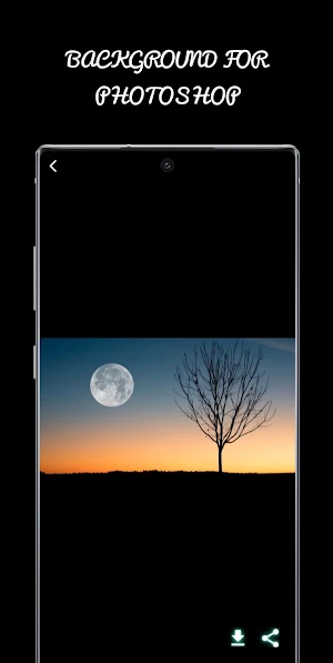 Background For Photoshop Screenshot 3