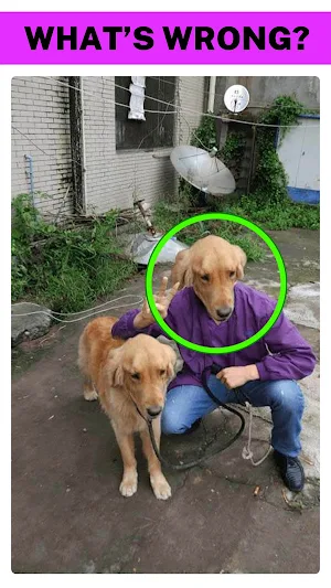 What's Wrong? Find The Mistakes In The Pictures Screenshot 3