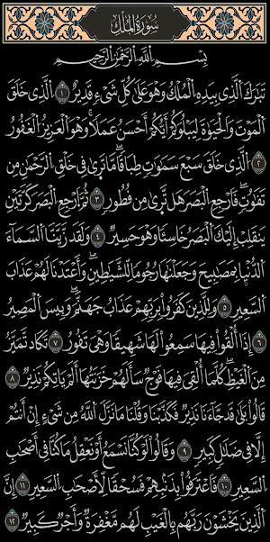 القرآن الكريم برواية السوسي Screenshot 1
