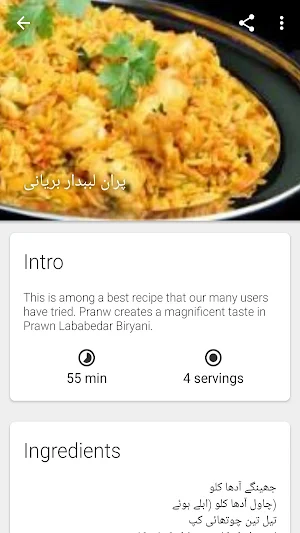 Biryani Recipes in Urdu Screenshot 3