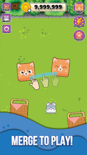 Pet Master: Merge and Trivia Screenshot 0