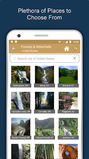 Forests & Waterfalls Travel &  Screenshot 1