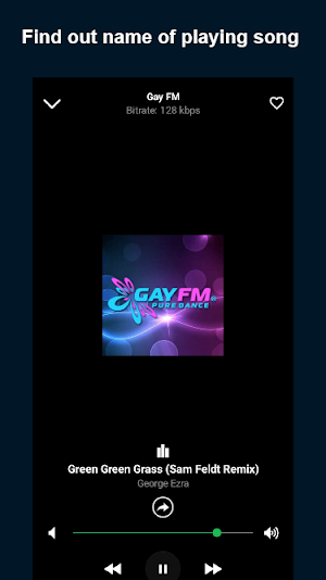 Online Radio Germany: FM & AM Screenshot 2