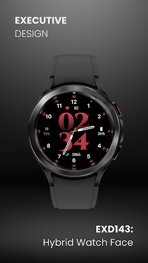 EXD143: Hybrid Watch Face Screenshot 1