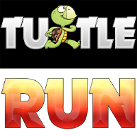 Turtle Run