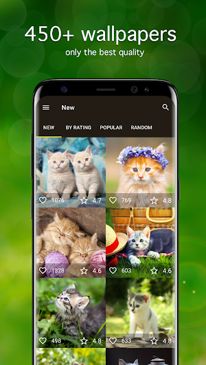 Kitten Wallpapers 4K Screenshot 0