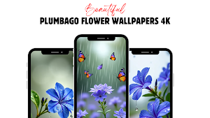 Plumbago Flower Wallpaper Screenshot 0