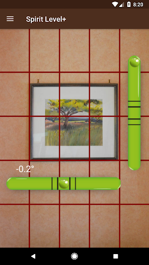 Spirit Level+ Screenshot 1