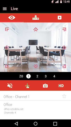 NIX GRUP DE SEGURETAT EasyView Screenshot 1