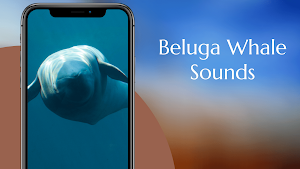 Beluga Whale Sounds Screenshot 1