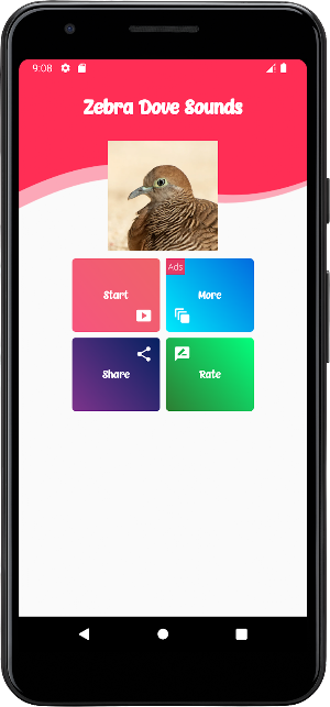 Zebra Dove Sounds Screenshot 0