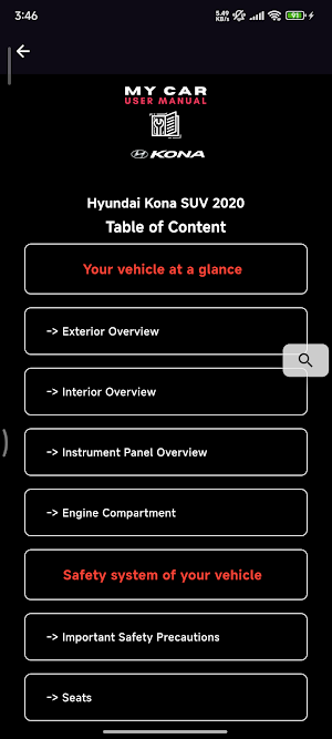 Hyundai Kona Manual and CarLog Screenshot 3