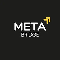 Meta Bridge Network