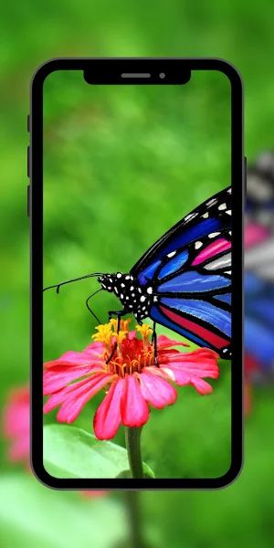 Butterfly Wallpaper Aesthetic Screenshot 0