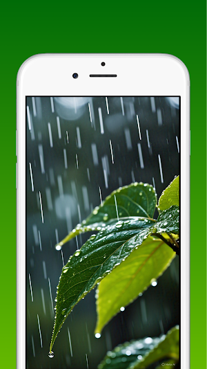 Leaves Wallpapers 4K HD Screenshot 3