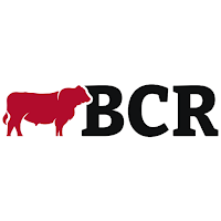 BCR Hambúrguer