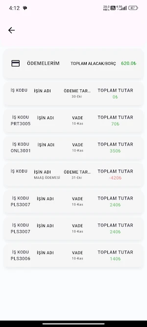 ProTeam E-İK Screenshot 2