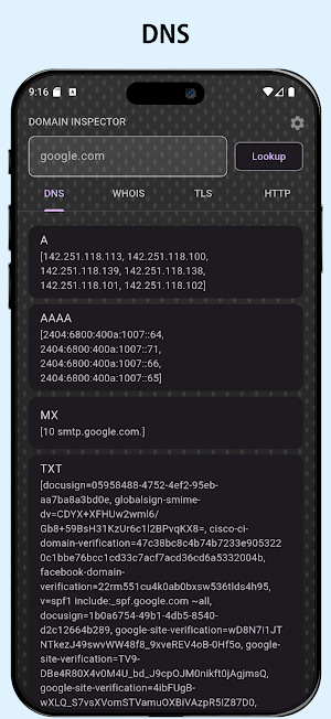 Domain Inspector Screenshot 1
