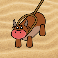Rodeo Matador