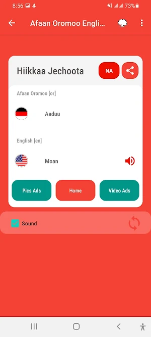 Afaan Oromo English Dictionary Screenshot 3