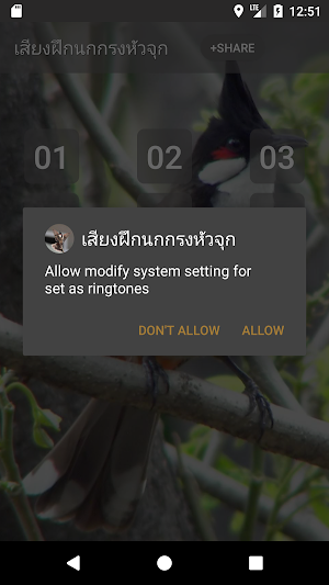 Red-whiskered bulbul Song Screenshot 2
