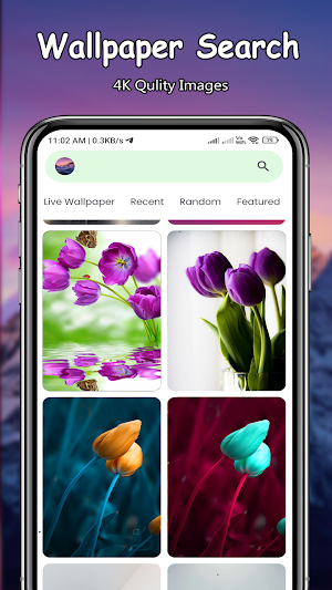 Tulip Live Wallpapers Screenshot 2