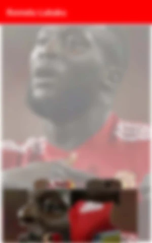 Romelu Lukaku -Wallpapers,puzzle Screenshot 1