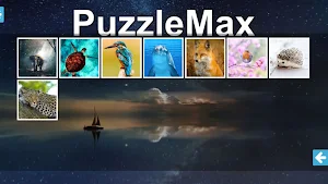 PuzzleMax: puzzle games HD Screenshot 2