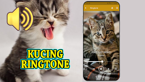 Suara Kucing Ringtone Offline Screenshot 1