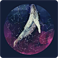 Whale Wallpapers Art
