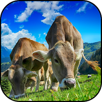 Farming wallpapers