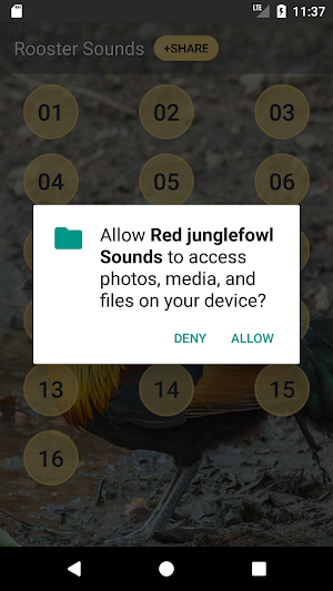 Red Junglefowl Call Sounds Screenshot 3