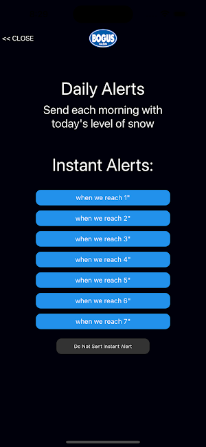 Bogus Basin Screenshot 1