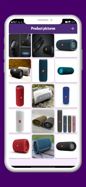 JBL Flip 5 Speaker Guide Screenshot 2