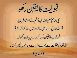 1000 Ahadees in Urdu Screenshot 1