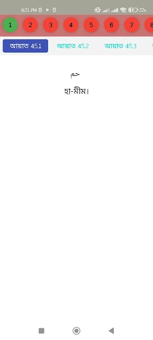 Surah Al jathiyah 1 Screenshot 0