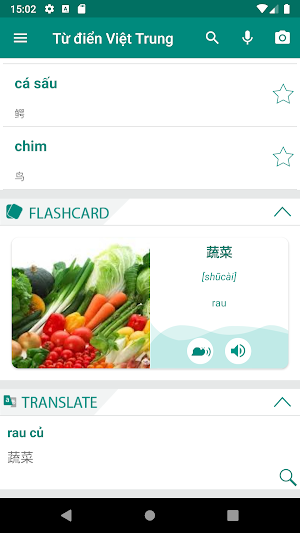 Vietnamese French Dictionary Screenshot 0