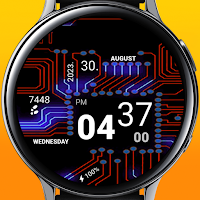 Microchip