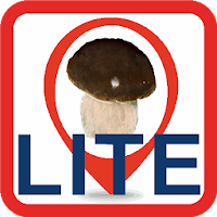 Mushrooms on the Map for free