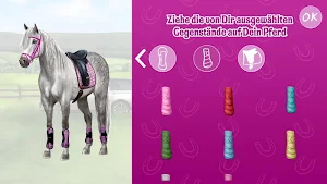 Horse and rider dressing fun Screenshot 3