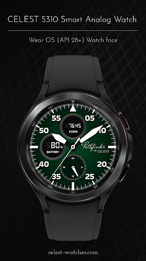CELEST5310 Smart Analog Watch Screenshot 2