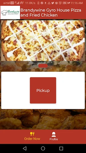 Brandywine Gyro House Pizza and Fried Chicken Screenshot 1